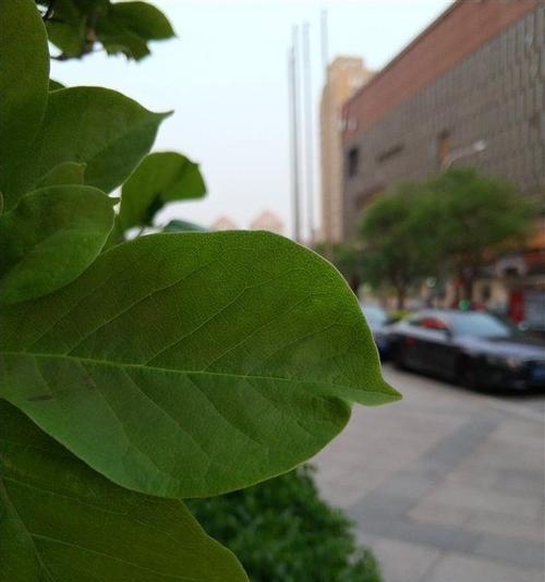 新手怎么才能挑选有投资价值的域名？有什么好的技巧？